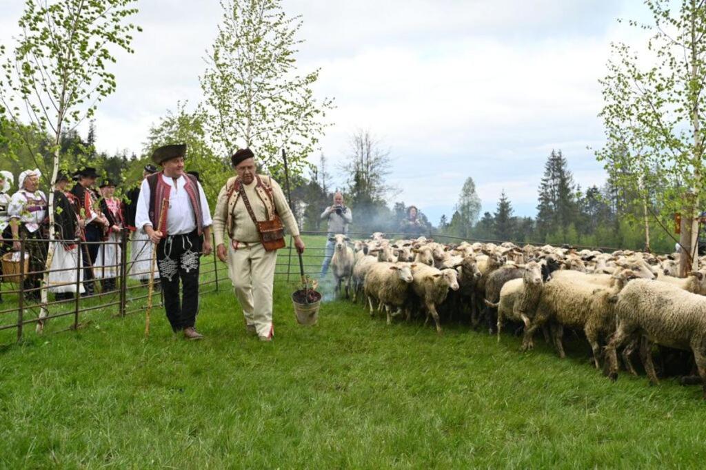 Penzion Zbojnicky Halas Tisovec 外观 照片